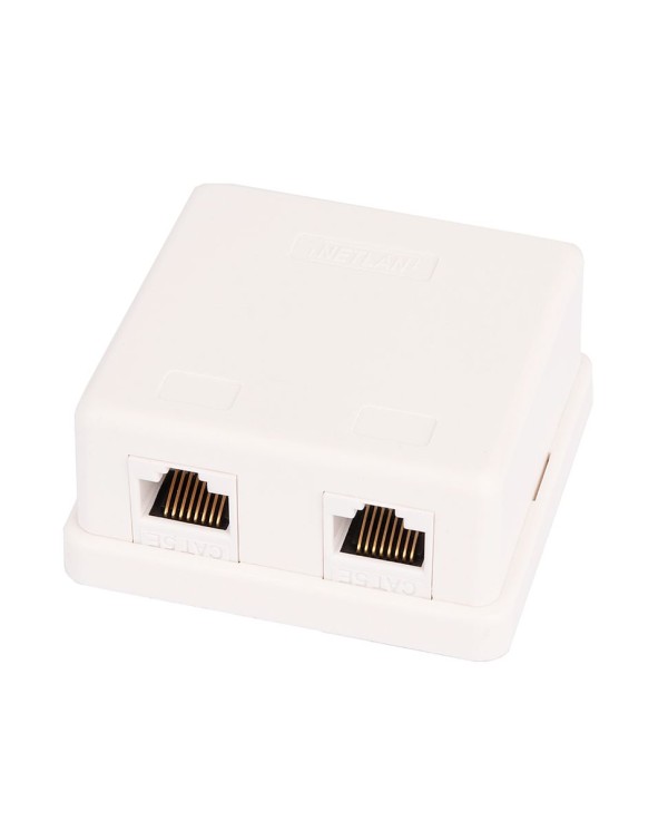 Розетка настенная NETLAN 2 порта, Кат.5e, RJ-45(8P8C) , 110 IDC, белая